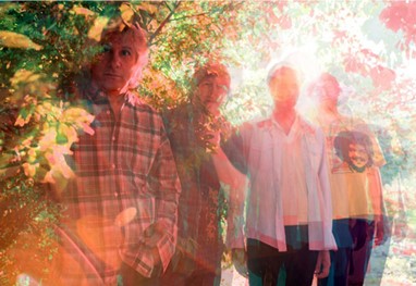 Lee Ranaldo