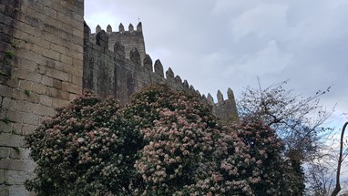 Castelo de Guimarães