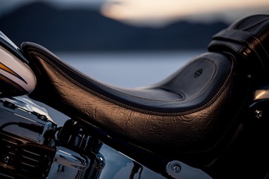CVO Softail Deluxe 