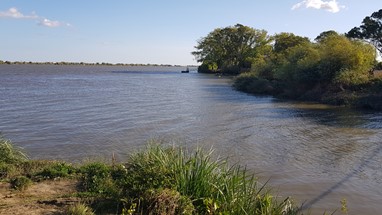 Foz da Vala do Carregado