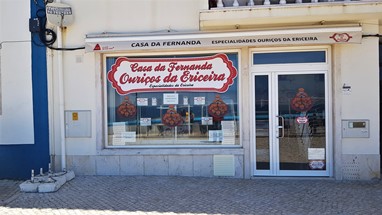 Ericeira - Ouriços... não havia