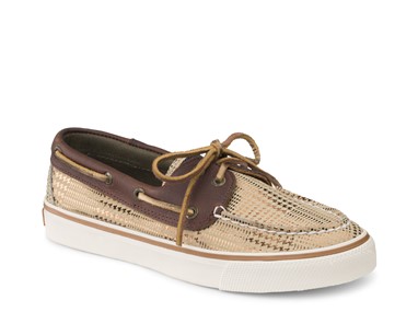 PVP - 79,90€