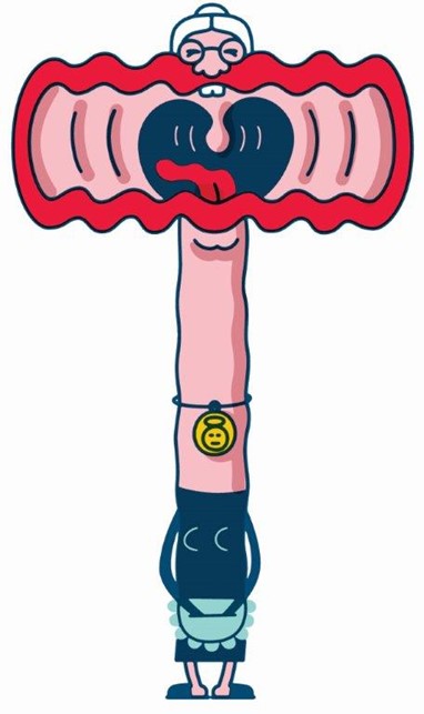 Alberto José Brás Horta de Oliveira Faria