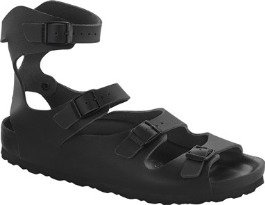 PVP - 249,90€