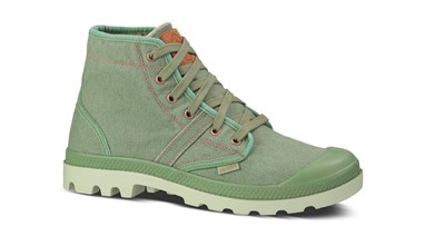PVP - 79,90€