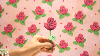 “A Cor da Rosa” de Alice Guimarães (Capicua e Pedro Geraldes)