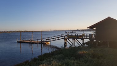 Rio Tejo na Póvoa de Santa Iria - actualidade