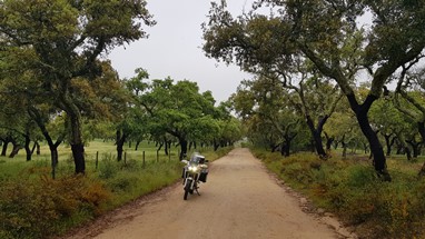 A caminho do Cromeleque dos Almendres