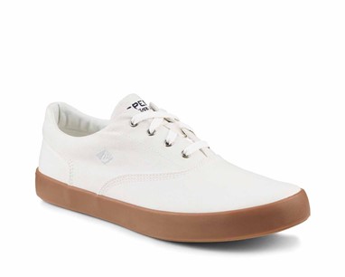 Sperry