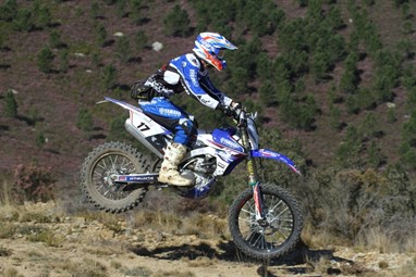 Frederico Fino