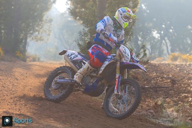 David Ferreira