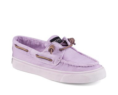 PVP - 69,90€