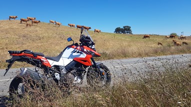 Suzuki V- Strom 1050 XT