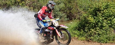 Luis Teixeira