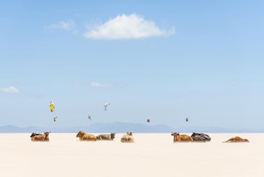 Menção honrosa Lugares | «Cows And Kites», Andrew Lever | National Geographic Photo Contest 2013