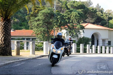  Forza 300 e X-Max 250