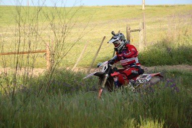 Elias Rodrigues