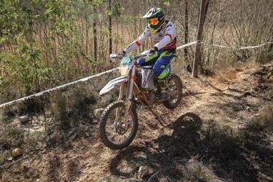 Nuno Freitas