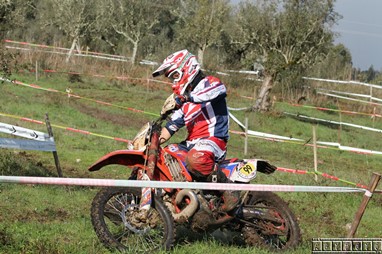 Luís Correia
