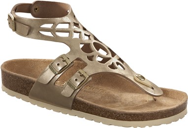 PVP - 169,90€