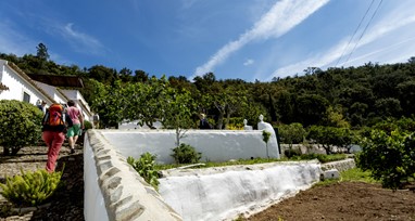 © Associação Turismo do Algarve (ATA)
