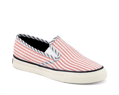 PVP 62,90€