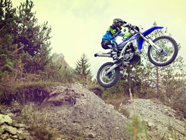 Yamaha WR250F 2015