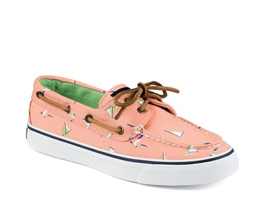 PVP - 64,90€