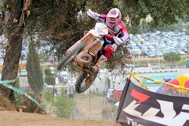 Luis Correia