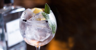Gin and Tonic