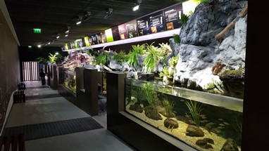 Fluviário de Mora (interior)