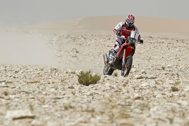 Paulo Gonçalves