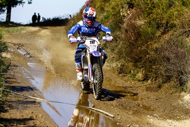 David Ferreira