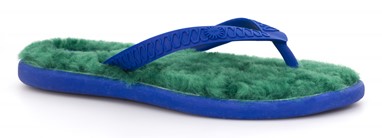 PVP - 54,90€