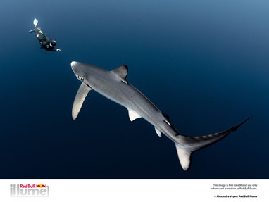 Alexandre Voyer /©Red Bull Illume 