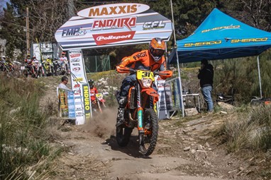 Luis Oliveira