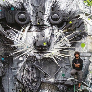 Detalhe Guaxinão /© Bordalo II