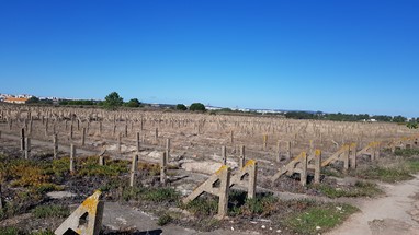 Atlântica - suportes para a seca do bacalhau