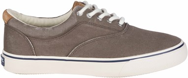 Sperry