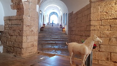 Setúbal - Fortaleza de S. Filipe - pormenor