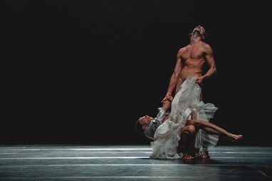 Pântano ©Leonor Fonseca