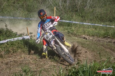 Bernardo Freire