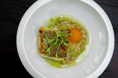 Pescada grelhada com açorda e gema curada
