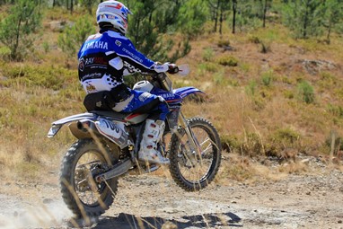 Frederico Fino
