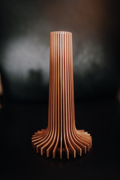 Troféu Prémios Sophia