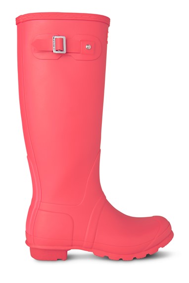PVP - 136,90€