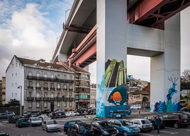 ©José Vicente