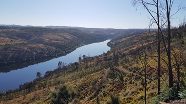 Serra de Nisa-Tejo acabado de entrar em Portugal