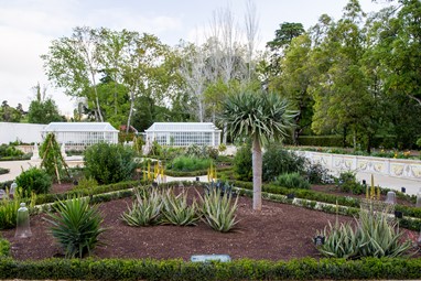 Jardim Botânico do Palácio Nacional de Queluz ©PSML Luis Duarte