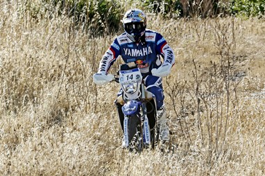 Hélder Rodrigues
